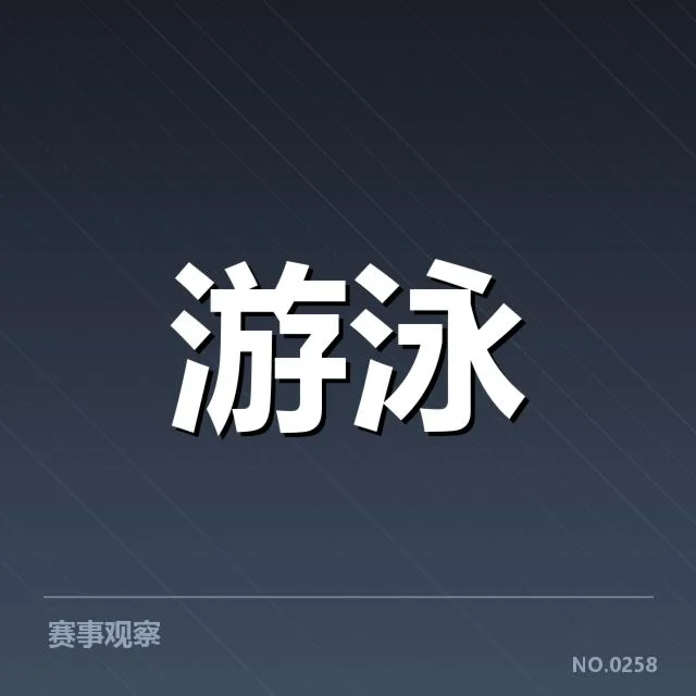 新星选手名单及成绩概览